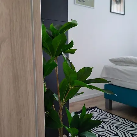 Apartment Pe-ki *